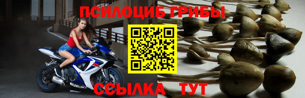 Балашиха  Псилоцибиновые грибы ЛСД  Вход с VPN 
